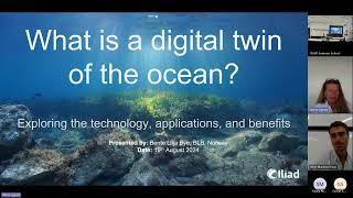 What is a Digital Twin of the Ocean / ILIAD SUMMER SCHOOL 2024