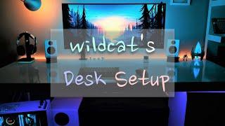 :3ildcat's Desk Setup