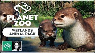 ▶ Planet Zoo Wetlands Animal Pack: Complete Overview of All Animals & Items