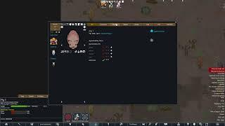 Rimworld with mods and stuff