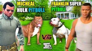 Gta 5 : (MICHEAL HULK PITBULL) Vs (FRANKLIN SUPER PITBULL)Epic DOG Fight!