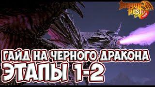 Гайд на Черного Дракона • Этапы 1-2 [New Dragon Nest]