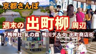 6/24(土)京都散歩1hour 出町柳周辺/下鴨神社/鴨川デルタ/出町枡形商店街etc. 【4K】Kyoto Japan walk!