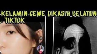 Why Belatung TikTok is trending? - belatung di tiktok link DETAILS