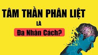 Hiểu Rõ Bệnh Tâm Thần Phân Liệt (dễ hiểu nhất) - Pháo Đài Kiến Thức