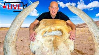 John Adolfi LIVE - Mega Mammals of the Post-Flood World