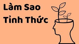 Làm Sao Tỉnh Thức (Với Thật Ít Nỗ Lực Và Kỷ Luật) - Tri kỷ cảm xúc Web5ngay