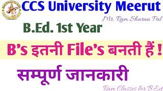 B.Ed.1st Year में कितनी Files बनती hai CCS University Meerut @RamSharanPal