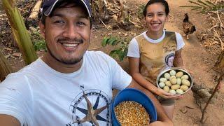 FINAL DE TARDE E NOSSA ROTINA EM CASAL NO SÍTIO / VIDA QUE AMAMOS!!!