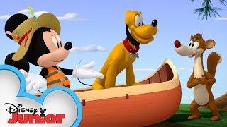 Catch That Weasel! | Mickey Mouse Hot Diggity Dog Tales | Disney Junior