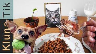 EATING ANIMAL FOOD!! |#29 KLUNATIK COMPILATION    ASMR eating sounds no talk