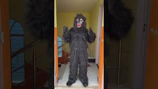O Susto Kong #Kritikachannel#Shorts funny video#Comady#gorilla#viralvideo