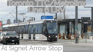 Toronto TTC/Metrolinx Line 6 Finch West LRV at Signet Arrow Stop 11/28/2024