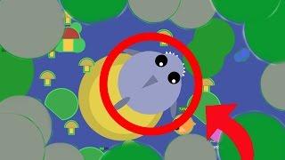 Mope.io CONSTRAINED IN THE LAKE CHALLENGE! BATTLE vs ALL ANIMALS / SHARK SURVIVAL (Mopeio Gameplay)