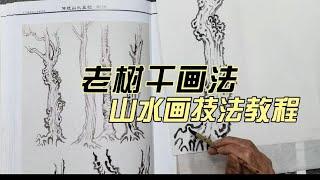 传统山水画教学视频教程  老树干画法