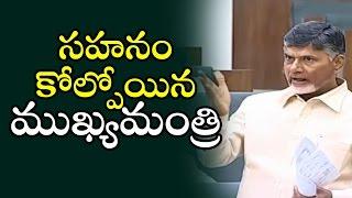 Chandrababu Fires on YS Jagan and YCP MLAs in AP Assembly  | Newsdeccan