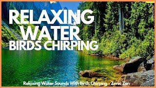 Relaxing Water Sounds With Birds Chirping-Zenic Zen