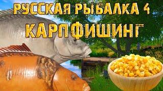 РУССКАЯ РЫБАЛКА 4 (РР4) -  КАРПФИШИНГ