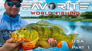 Вот это ОКУНЬ! Ловля басса и павлиньего окуня в США. День 1. Favorite World Fishing.