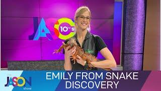 Tarantulas, lizards, snakes & more! Creepy critters from Emily at Snake Discovery