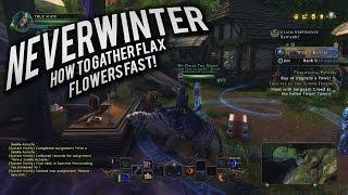 Neverwinter: How to Gather Flax Flowers FAST (Your Very Own Sahha Ball quest)