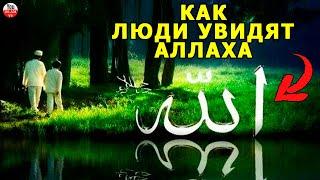 КАК МЫ УВИДИМ ГОСПОДА МИРОВ? КАК ЛЮДИ УВИДЯТ АЛЛАХА В РАЮ? КАКИМ ЛЮДИ УВИДЯТ АЛЛАХА В РАЮ?