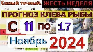 Прогноз клева рыбы на Эту неделю с 11 по 17 ноября 2024 Лунный Календарь рыбака Лунный прогноз клева