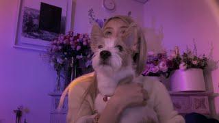 Rosé and her dog Hank in her birthday live.