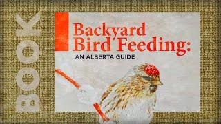 The perfect Alberta guide to feeding birds in your backyard!