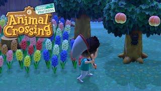 NÄCHTLICHE SOMMERKÄFERJAGD 3.0! • 270 ️ Let's Play Animal Crossing: New Horizons [GERMAN/DEUTSCH]