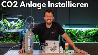 CO2 Set für dein Aquarium: Installation und Tipps