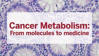 Cancer Metabolism: From molecules to medicine
