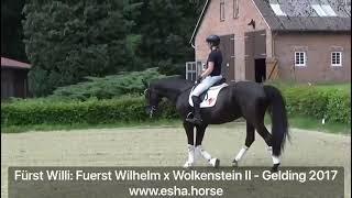 Fürst Willi: FUERST WILHELM x WOLKENSTEIN II