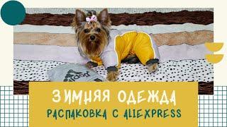 К зиме готовы! Распаковка посылки с aliexpress, зимняя одежда для собаки йоркширского терьера 9 мес.