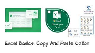 Copy and Paste Special option in Excel