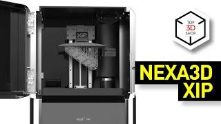Nexa3D XiP Overview: High-Speed Desktop Resin 3D Printer
