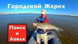 Городской жерех ! От мала до велика! Поиск и ловля! Ares Lester Boron 800ML