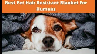 5 Best Pet Hair Resistant Blanket For Humans