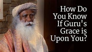 Sadhguru - How Do You Know If Guru's and the Divine´s Grace is Upon You