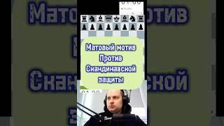 Вариант против скандинавки #chess #шахматы #стрим #gambit #lichess #puzzle #шахматыстрим #игры