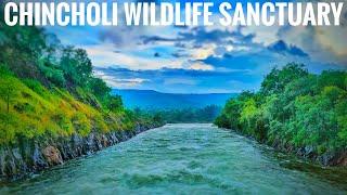 CHINCHOLI WILDLIFE SANCTUARY & CHANDRAMPALLI DAM | HITCHHIKED in HEAVY RAIN | TRAVEL VLOG | UK