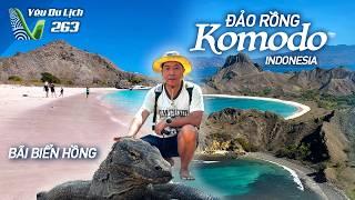 YDL #263: Đi tìm rồng Komodo ở Indonesia, quá nhiều cảnh đẹp ở Labuan Bajo | Yêu Máy Bay