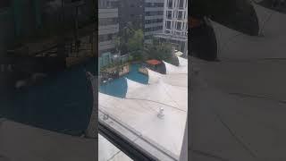 LIVE FROM SINGAPORE - Peninsula Excelsior Hotel room tour