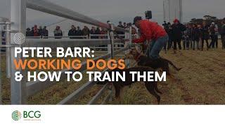 BCG Main Field Day Peter Barr - Working dogs and getting the most from them!