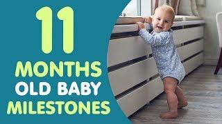 11 Months Old Baby Milestones