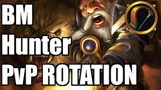 EASY - BM Hunter PvP Rotation Guide