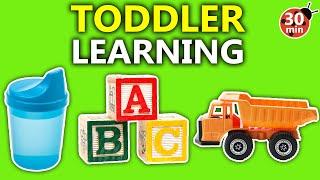 Educational Videos for Toddlers with The Toddler Teacher - Abcs, Colors, Letters, Numbers in English