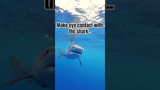 #shark #orca #fish #shorts #shortvideo 