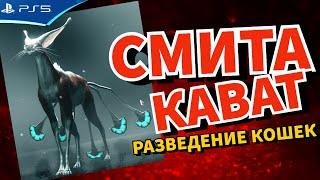 Разведение кошек породы Смита Васка Кават - Warframe