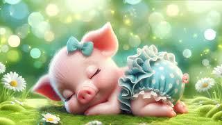 Sleepy piggy Healing music for sleep and relaxation